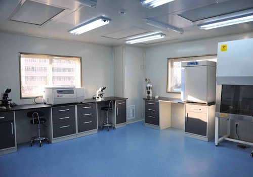 ��������ɭ�t�z��